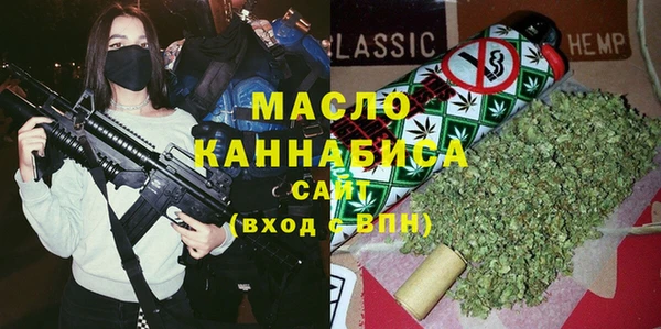 спиды Вяземский