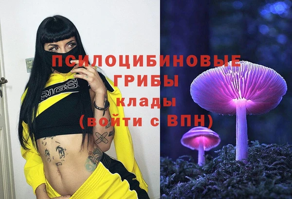 ешки Вязники