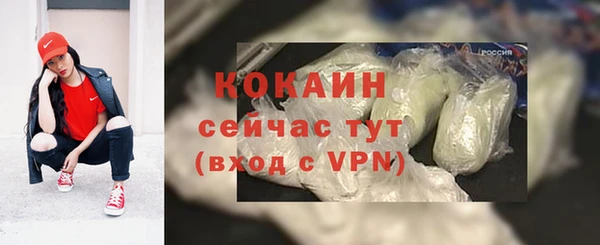 спиды Вяземский