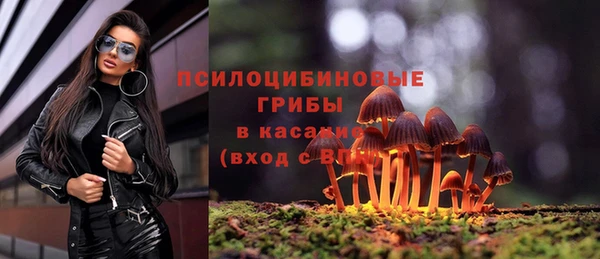 спиды Вяземский