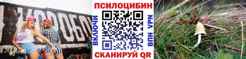 Псилоцибиновые грибы Cubensis Карачев